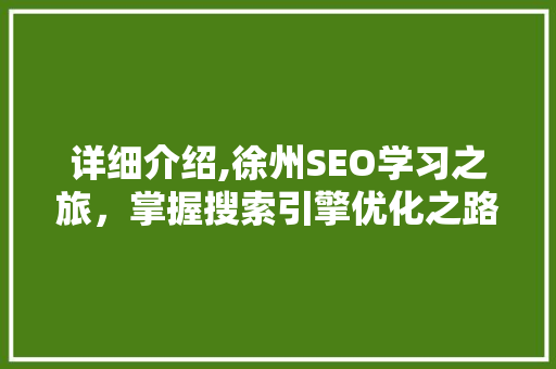 详细介绍,徐州SEO学习之旅，掌握搜索引擎优化之路
