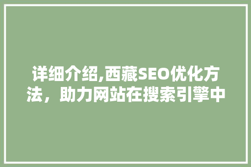详细介绍,西藏SEO优化方法，助力网站在搜索引擎中脱颖而出