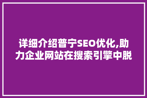 详细介绍普宁SEO优化,助力企业网站在搜索引擎中脱颖而出
