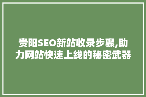 贵阳SEO新站收录步骤,助力网站快速上线的秘密武器