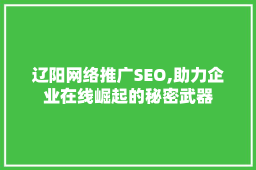 辽阳网络推广SEO,助力企业在线崛起的秘密武器