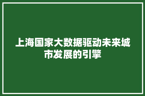 上海国家大数据驱动未来城市发展的引擎  第1张