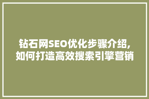 钻石网SEO优化步骤介绍,如何打造高效搜索引擎营销