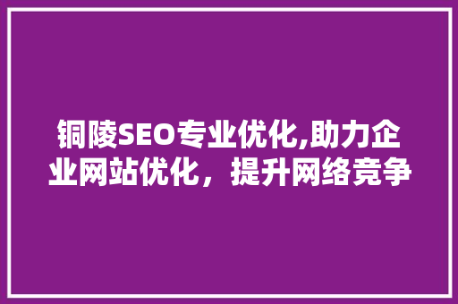 铜陵SEO专业优化,助力企业网站优化，提升网络竞争力