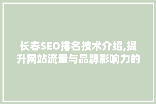 长春SEO排名技术介绍,提升网站流量与品牌影响力的方法