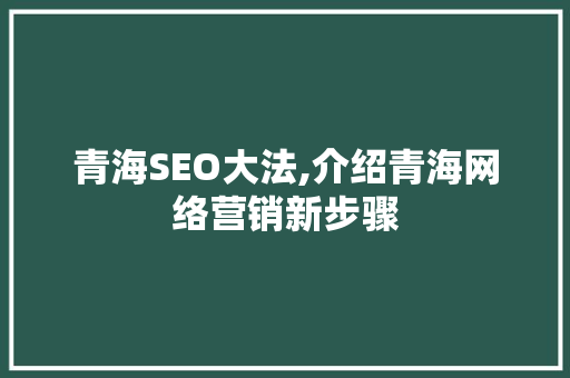 青海SEO大法,介绍青海网络营销新步骤