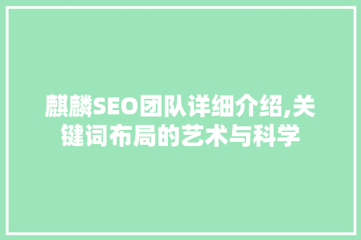 麒麟SEO团队详细介绍,关键词布局的艺术与科学