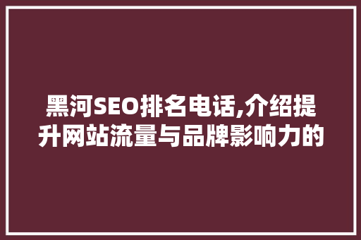 黑河SEO排名电话,介绍提升网站流量与品牌影响力的秘密武器