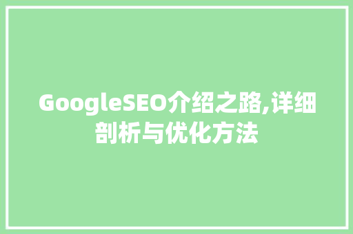 GoogleSEO介绍之路,详细剖析与优化方法