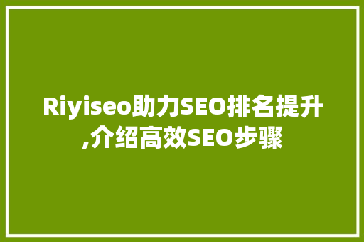 Riyiseo助力SEO排名提升,介绍高效SEO步骤