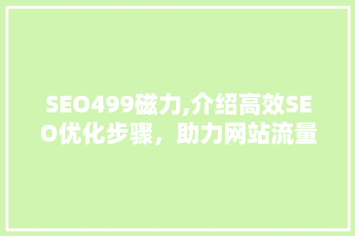 SEO499磁力,介绍高效SEO优化步骤，助力网站流量翻倍