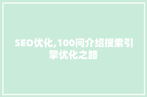 SEO优化,100问介绍搜索引擎优化之路