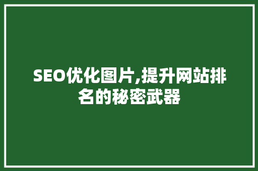 SEO优化图片,提升网站排名的秘密武器