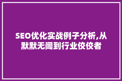 SEO优化实战例子分析,从默默无闻到行业佼佼者