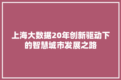 上海大数据20年创新驱动下的智慧城市发展之路
