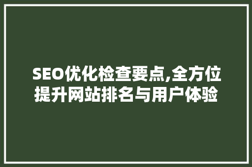 SEO优化检查要点,全方位提升网站排名与用户体验