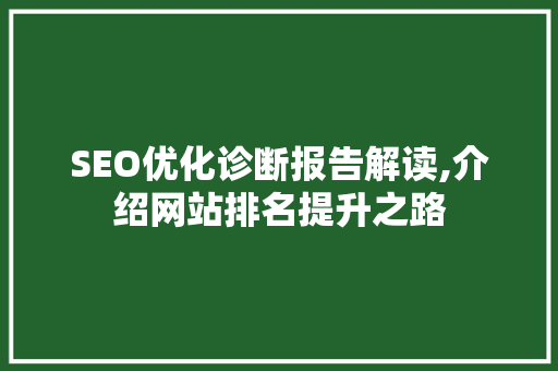 SEO优化诊断报告解读,介绍网站排名提升之路