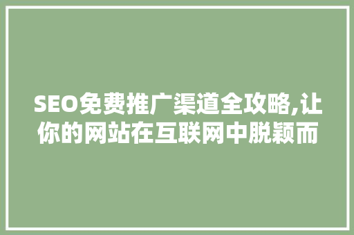SEO免费推广渠道全攻略,让你的网站在互联网中脱颖而出