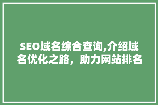 SEO域名综合查询,介绍域名优化之路，助力网站排名提升