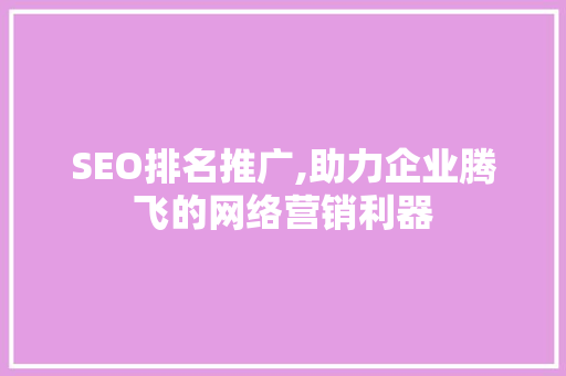 SEO排名推广,助力企业腾飞的网络营销利器