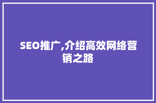 SEO推广,介绍高效网络营销之路  第1张