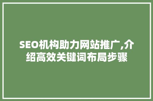 SEO机构助力网站推广,介绍高效关键词布局步骤