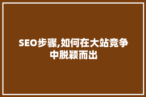 SEO步骤,如何在大站竞争中脱颖而出