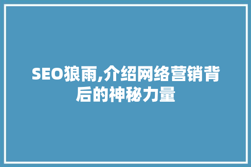 SEO狼雨,介绍网络营销背后的神秘力量  第1张