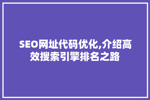 SEO网址代码优化,介绍高效搜索引擎排名之路