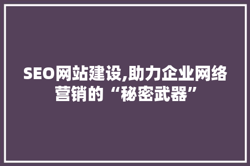 SEO网站建设,助力企业网络营销的“秘密武器”