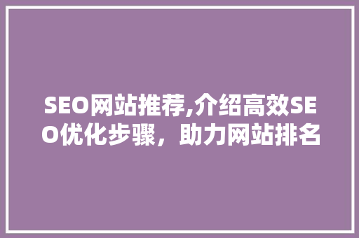 SEO网站推荐,介绍高效SEO优化步骤，助力网站排名提升  第1张
