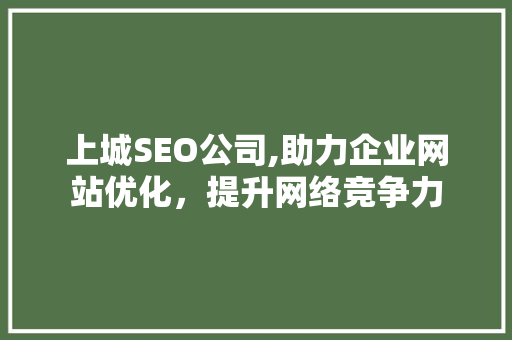 上城SEO公司,助力企业网站优化，提升网络竞争力