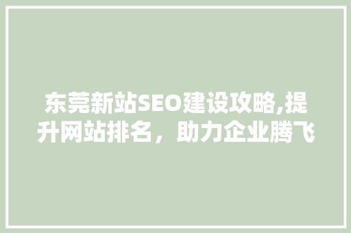 东莞新站SEO建设攻略,提升网站排名，助力企业腾飞