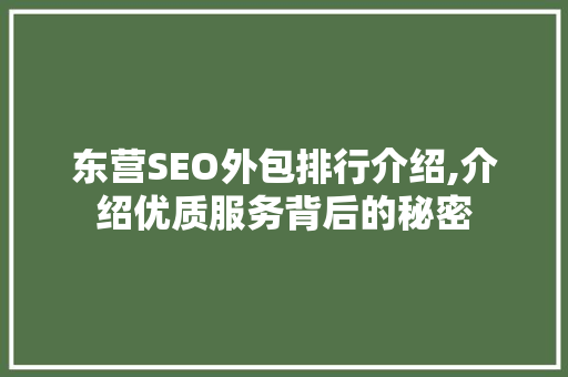 东营SEO外包排行介绍,介绍优质服务背后的秘密