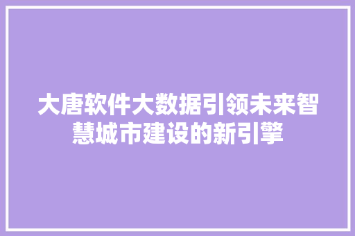 大唐软件大数据引领未来智慧城市建设的新引擎