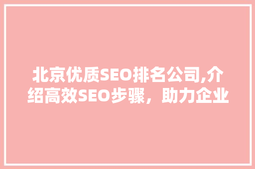 北京优质SEO排名公司,介绍高效SEO步骤，助力企业腾飞