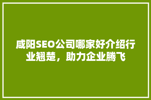 咸阳SEO公司哪家好介绍行业翘楚，助力企业腾飞