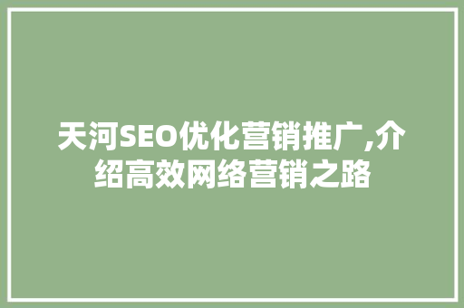 天河SEO优化营销推广,介绍高效网络营销之路