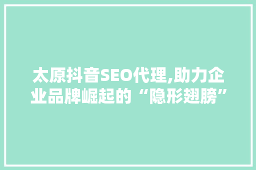 太原抖音SEO代理,助力企业品牌崛起的“隐形翅膀”