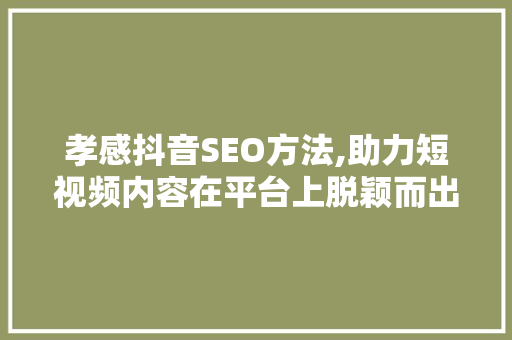 孝感抖音SEO方法,助力短视频内容在平台上脱颖而出