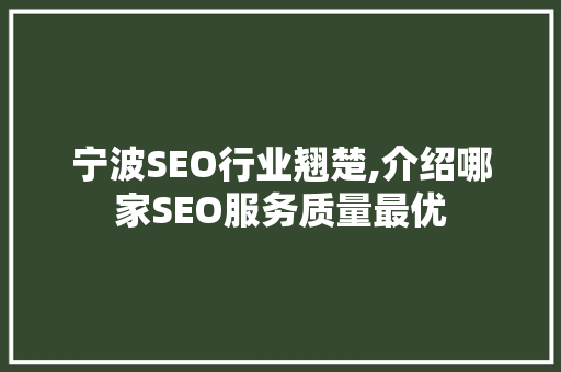 宁波SEO行业翘楚,介绍哪家SEO服务质量最优