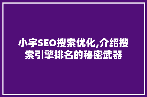 小宇SEO搜索优化,介绍搜索引擎排名的秘密武器