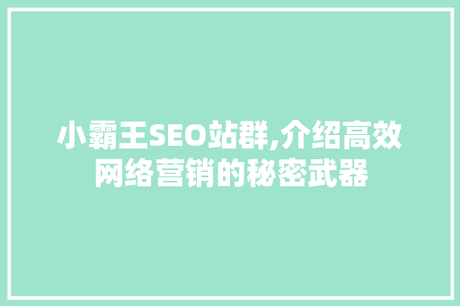 小霸王SEO站群,介绍高效网络营销的秘密武器