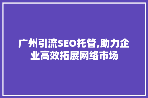 广州引流SEO托管,助力企业高效拓展网络市场