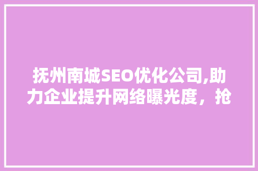 抚州南城SEO优化公司,助力企业提升网络曝光度，抢占市场先机