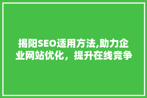 揭阳SEO适用方法,助力企业网站优化，提升在线竞争力