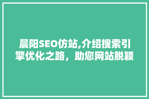 晨阳SEO仿站,介绍搜索引擎优化之路，助您网站脱颖而出