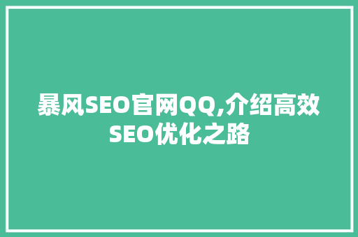 暴风SEO官网QQ,介绍高效SEO优化之路