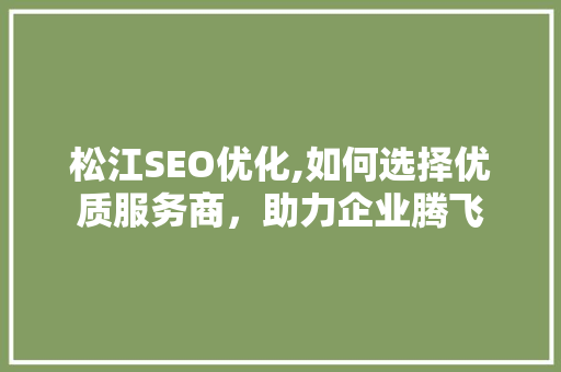 松江SEO优化,如何选择优质服务商，助力企业腾飞