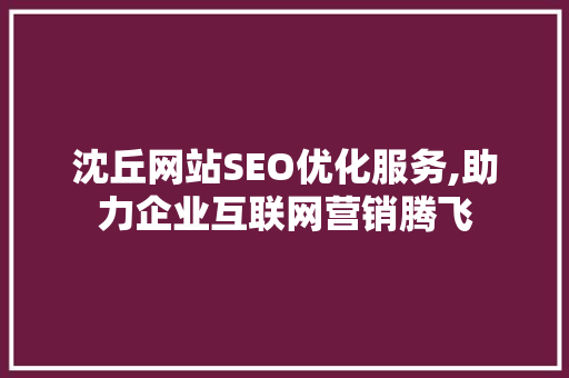 沈丘网站SEO优化服务,助力企业互联网营销腾飞